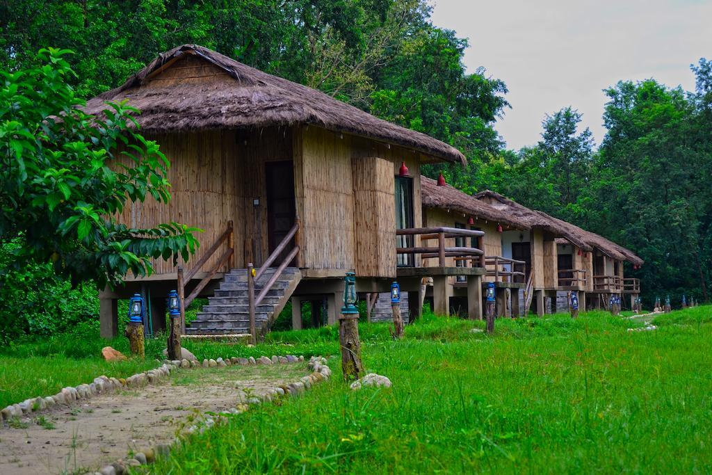 Kawasoti Temple Tiger Green Jungle Resort חדר תמונה